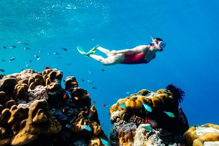 Ixtapa Zihuatanejo Paseos y Tours de Pesca Costera y Snorkeling