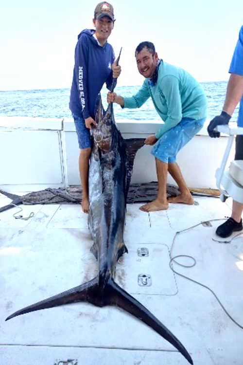 Ixtapa Zihuatanejo Tours de Pesca De Pez Vela y Dorado