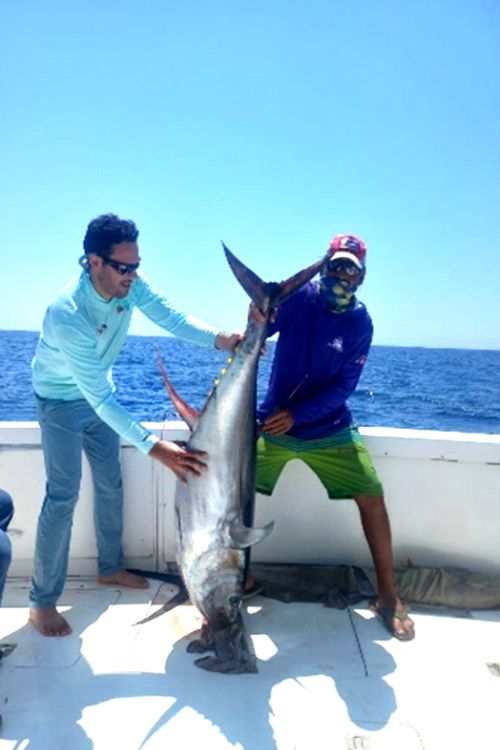 Ixtapa Zihuatanejo Tours de Pesca De Pez Vela y Dorado