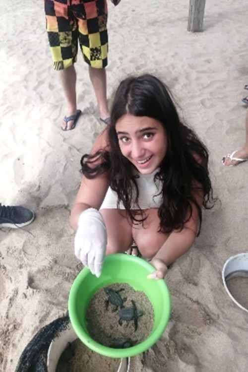 Liberación de Tortugas en Ixtapa Zihuatanejo Reservaciones. Tour Tortugas en Ixtapa Zihuatanejo