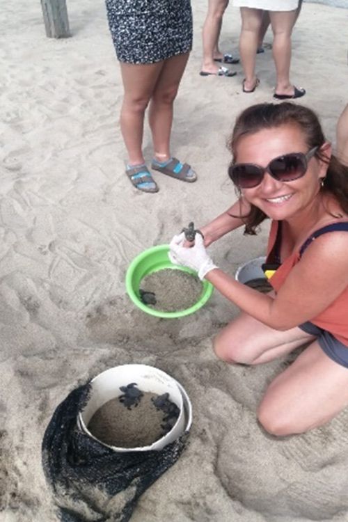 Liberación de Tortugas en Ixtapa Zihuatanejo Reservaciones. Tour Tortugas en Ixtapa Zihuatanejo